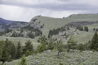 Filename=DSC_2421.jpg
Filesize=21222KiB
Dimensions=7360x4912
Date added=Sep 21, 2019 DSC_2421.jpg