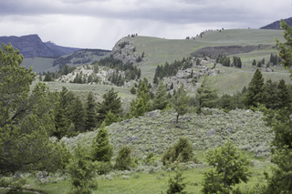 Filename=DSC_2423.jpg
Filesize=22042KiB
Dimensions=7360x4912
Date added=Sep 21, 2019 DSC_2423.jpg