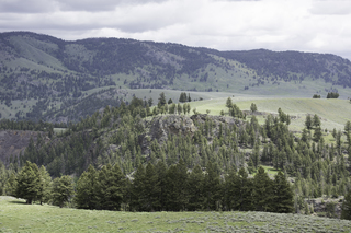 Filename=DSC_2424.jpg
Filesize=21285KiB
Dimensions=7360x4912
Date added=Sep 21, 2019 DSC_2424.jpg