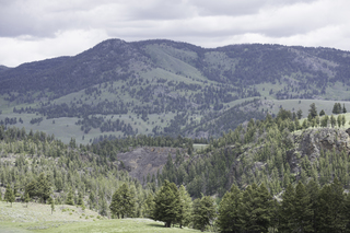 Filename=DSC_2425.jpg
Filesize=20336KiB
Dimensions=7360x4912
Date added=Sep 21, 2019 DSC_2425.jpg