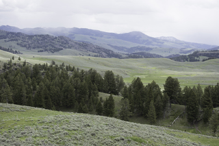 Filename=DSC_2426.jpg
Filesize=17921KiB
Dimensions=7360x4912
Date added=Sep 21, 2019 DSC_2426.jpg