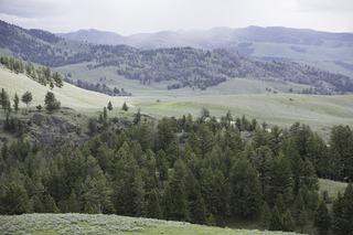 Filename=DSC_2428.jpg
Filesize=20765KiB
Dimensions=7360x4912
Date added=Sep 21, 2019 DSC_2428.jpg