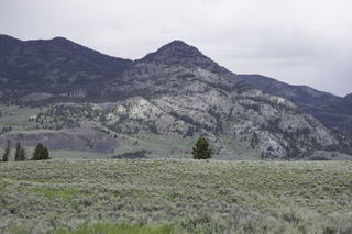 Filename=DSC_2431.jpg
Filesize=19008KiB
Dimensions=7360x4912
Date added=Sep 21, 2019 DSC_2431.jpg