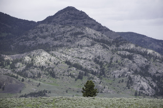 Filename=DSC_2432.jpg
Filesize=20967KiB
Dimensions=7360x4912
Date added=Sep 21, 2019 DSC_2432.jpg