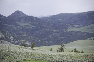 Filename=DSC_2433.jpg
Filesize=19240KiB
Dimensions=7360x4912
Date added=Sep 21, 2019 DSC_2433.jpg