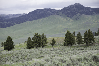 Filename=DSC_2435.jpg
Filesize=17907KiB
Dimensions=7360x4912
Date added=Sep 21, 2019 DSC_2435.jpg