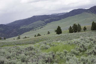 Filename=DSC_2436.jpg
Filesize=17171KiB
Dimensions=7360x4912
Date added=Sep 21, 2019 DSC_2436.jpg