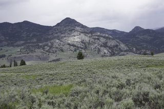 Filename=DSC_2437.jpg
Filesize=18002KiB
Dimensions=7360x4912
Date added=Sep 21, 2019 DSC_2437.jpg