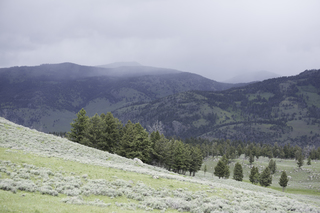 Filename=DSC_2441.jpg
Filesize=17261KiB
Dimensions=7360x4912
Date added=Sep 21, 2019 DSC_2441.jpg