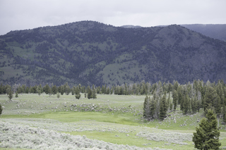 Filename=DSC_2442.jpg
Filesize=18601KiB
Dimensions=7360x4912
Date added=Sep 21, 2019 DSC_2442.jpg