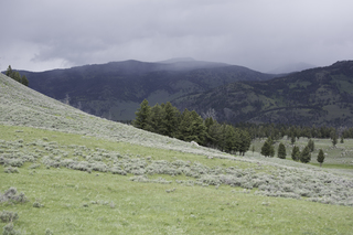 Filename=DSC_2444.jpg
Filesize=17393KiB
Dimensions=7360x4912
Date added=Sep 21, 2019 DSC_2444.jpg