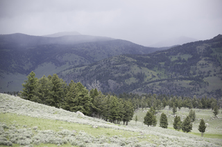 Filename=DSC_2446.jpg
Filesize=16794KiB
Dimensions=7360x4912
Date added=Sep 21, 2019 DSC_2446.jpg