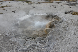 Filename=DSC_8427.JPG
Filesize=21822KiB
Dimensions=7360x4912
Date added=Sep 22, 2019 DSC_8427.JPG