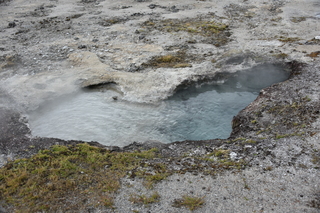 Filename=DSC_8431.JPG
Filesize=22472KiB
Dimensions=7360x4912
Date added=Sep 22, 2019 DSC_8431.JPG