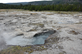 Filename=DSC_8432.JPG
Filesize=22643KiB
Dimensions=7360x4912
Date added=Sep 22, 2019 DSC_8432.JPG