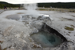 Filename=DSC_8436.JPG
Filesize=22246KiB
Dimensions=7360x4912
Date added=Sep 22, 2019 DSC_8436.JPG