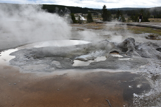 Filename=DSC_8437.JPG
Filesize=18732KiB
Dimensions=7360x4912
Date added=Sep 22, 2019 DSC_8437.JPG