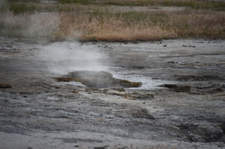 Filename=DSC_8442.JPG
Filesize=16704KiB
Dimensions=7360x4912
Date added=Sep 22, 2019 DSC_8442.JPG