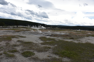 Filename=DSC_8444.JPG
Filesize=18181KiB
Dimensions=7360x4912
Date added=Sep 22, 2019 DSC_8444.JPG