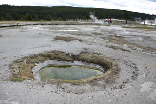 Filename=DSC_8446.JPG
Filesize=22604KiB
Dimensions=7360x4912
Date added=Sep 22, 2019 DSC_8446.JPG