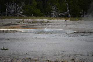 Filename=DSC_8447.JPG
Filesize=16694KiB
Dimensions=7360x4912
Date added=Sep 22, 2019 DSC_8447.JPG