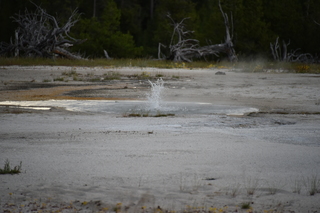 Filename=DSC_8448.JPG
Filesize=16412KiB
Dimensions=7360x4912
Date added=Sep 22, 2019 DSC_8448.JPG