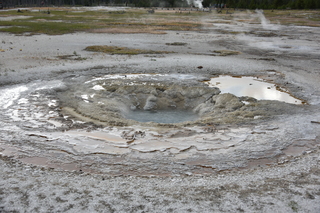 Filename=DSC_8451.JPG
Filesize=22148KiB
Dimensions=7360x4912
Date added=Sep 22, 2019 DSC_8451.JPG