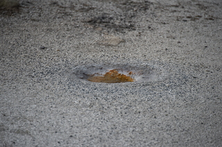 Filename=DSC_8453.JPG
Filesize=18862KiB
Dimensions=7360x4912
Date added=Sep 22, 2019 DSC_8453.JPG