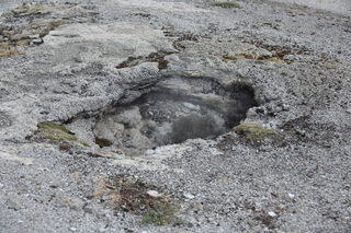 Filename=DSC_8461.JPG
Filesize=22624KiB
Dimensions=7360x4912
Date added=Sep 22, 2019 DSC_8461.JPG