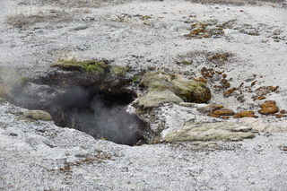 Filename=DSC_8463.JPG
Filesize=22739KiB
Dimensions=7360x4912
Date added=Sep 22, 2019 DSC_8463.JPG