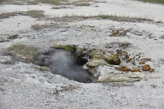 Filename=DSC_8465.JPG
Filesize=23325KiB
Dimensions=7360x4912
Date added=Sep 22, 2019 DSC_8465.JPG