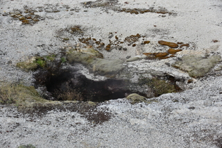 Filename=DSC_8468.JPG
Filesize=23655KiB
Dimensions=7360x4912
Date added=Sep 22, 2019 DSC_8468.JPG