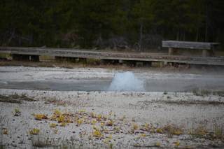 Filename=DSC_8470.JPG
Filesize=17053KiB
Dimensions=7360x4912
Date added=Sep 22, 2019 DSC_8470.JPG