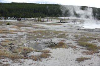 Filename=DSC_8471.JPG
Filesize=20419KiB
Dimensions=7360x4912
Date added=Sep 22, 2019 DSC_8471.JPG