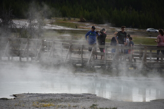 Filename=DSC_8474.JPG
Filesize=15608KiB
Dimensions=7360x4912
Date added=Sep 22, 2019 DSC_8474.JPG