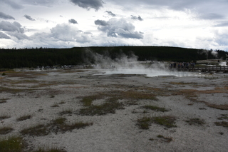 Filename=DSC_8476.JPG
Filesize=18935KiB
Dimensions=7360x4912
Date added=Sep 22, 2019 DSC_8476.JPG