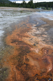 Filename=DSC_8483.JPG
Filesize=17607KiB
Dimensions=4912x7360
Date added=Sep 22, 2019 DSC_8483.JPG