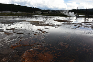 Filename=DSC_8485.JPG
Filesize=18723KiB
Dimensions=7360x4912
Date added=Sep 22, 2019 DSC_8485.JPG