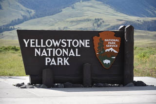 Filename=DSC_8499.JPG
Filesize=15575KiB
Dimensions=7360x4912
Date added=Sep 22, 2019 DSC_8499.JPG