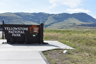 Filename=DSC_8500.JPG
Filesize=19766KiB
Dimensions=7360x4912
Date added=Sep 22, 2019 DSC_8500.JPG