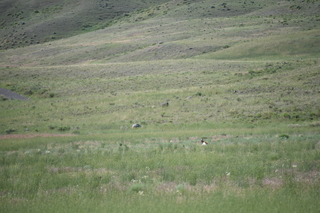 Filename=DSC_8506.JPG
Filesize=18268KiB
Dimensions=7360x4912
Date added=Sep 22, 2019 DSC_8506.JPG