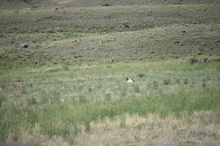 Filename=DSC_8507.JPG
Filesize=19339KiB
Dimensions=7360x4912
Date added=Sep 22, 2019 DSC_8507.JPG