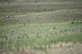 Filename=DSC_8508.JPG
Filesize=19226KiB
Dimensions=7360x4912
Date added=Sep 22, 2019 DSC_8508.JPG