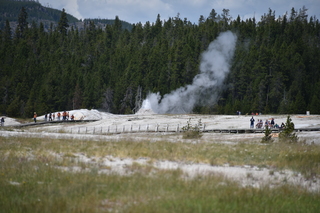 Filename=DSC_8541.JPG
Filesize=17883KiB
Dimensions=7360x4912
Date added=Sep 22, 2019 DSC_8541.JPG