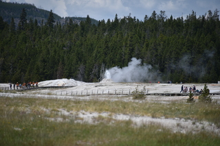 Filename=DSC_8543.JPG
Filesize=17962KiB
Dimensions=7360x4912
Date added=Sep 22, 2019 DSC_8543.JPG