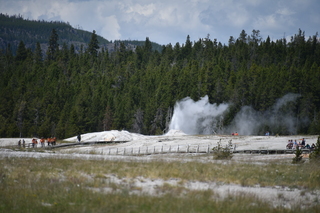 Filename=DSC_8544.JPG
Filesize=18061KiB
Dimensions=7360x4912
Date added=Sep 22, 2019 DSC_8544.JPG