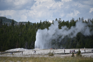 Filename=DSC_8548.JPG
Filesize=16469KiB
Dimensions=7360x4912
Date added=Sep 22, 2019 DSC_8548.JPG