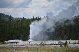 Filename=DSC_8549.JPG
Filesize=16293KiB
Dimensions=7360x4912
Date added=Sep 22, 2019 DSC_8549.JPG