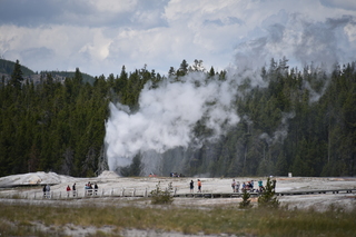 Filename=DSC_8553.JPG
Filesize=16768KiB
Dimensions=7360x4912
Date added=Sep 22, 2019 DSC_8553.JPG