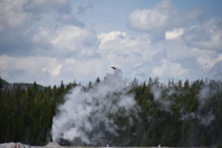 Filename=DSC_8555.JPG
Filesize=13692KiB
Dimensions=7360x4912
Date added=Sep 22, 2019 DSC_8555.JPG